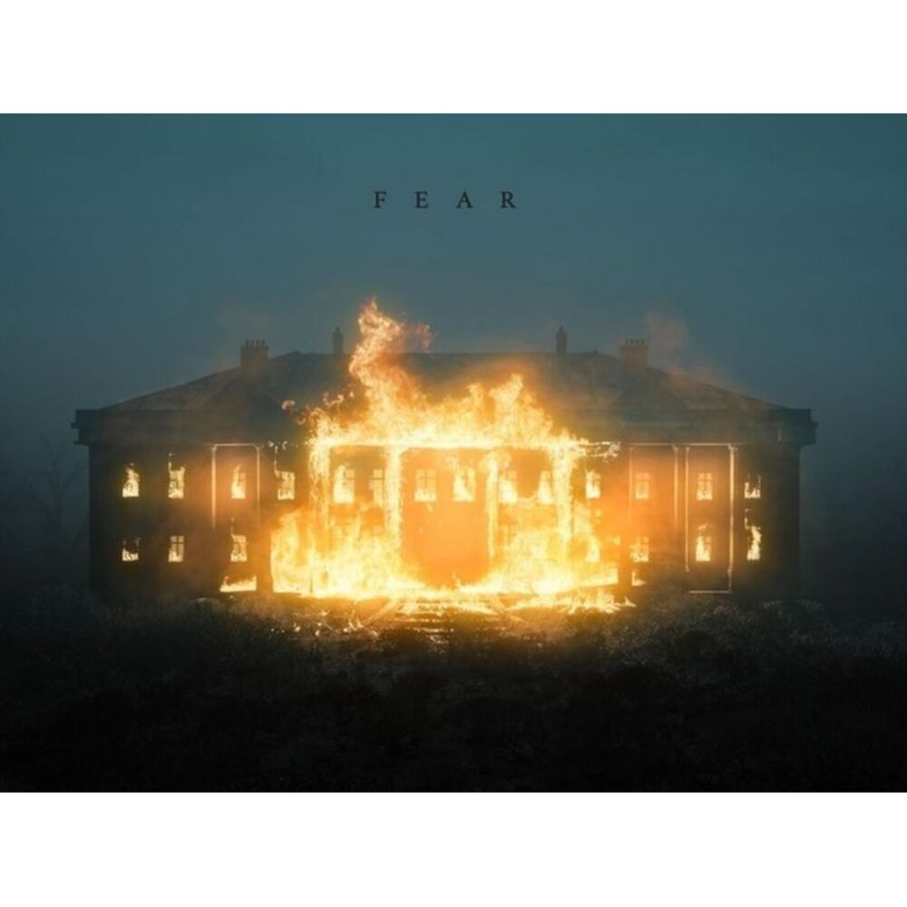 Nf - FEAR  LP LP